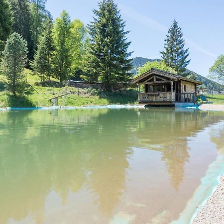 Almliesl Holl-559 Villa Hollersbach im Pinzgau Eksteriør billede
